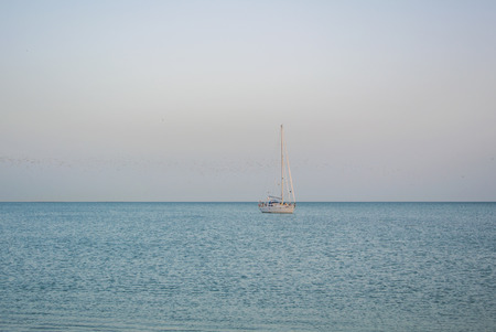 MALAGA, SPAIN - FEBRUARY 16, 2014: A lonely boat fishing at Meditarrain sea with a plenty of seagulls at the background in the evening near Malaga, Andalusia, Spain.のeditorial素材