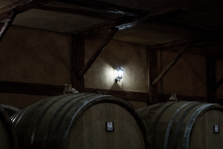 Wooden barrels of aged cognac at cellar of Brandy Factory Noy of Yerevan, Armenia.の写真素材