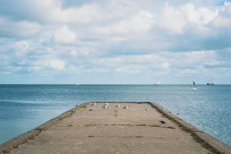 Old stone pier with sitting standing seagulls and a blue sea water around with sailing ships at the horizon.の写真素材