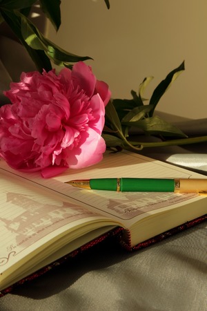 Open weekly pen and peony
の写真素材