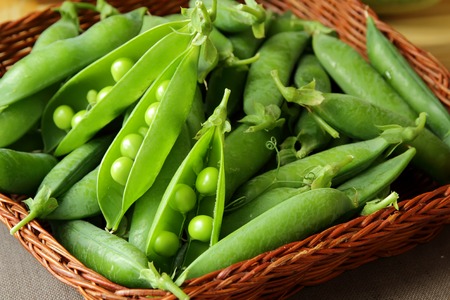 Peas in pods の写真素材
