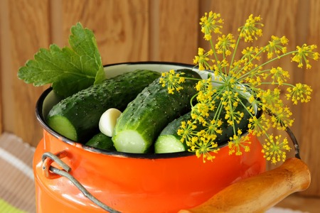 Pickling cucumbers and spices in cans
の写真素材