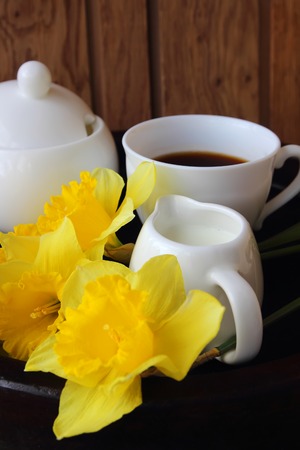 Cup of coffee, milk and daffodilsの写真素材