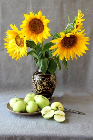 Still Life with Apples and sunflowers.の写真素材