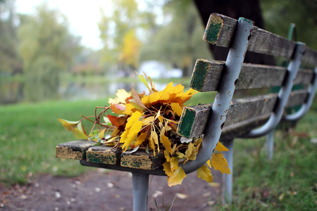 A bench with a bouquet of autumn leaves.の写真素材