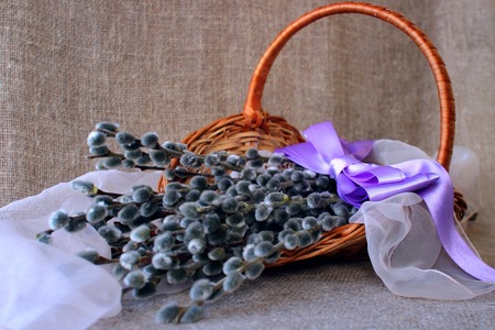 Basket willow basket with satin bow.の写真素材