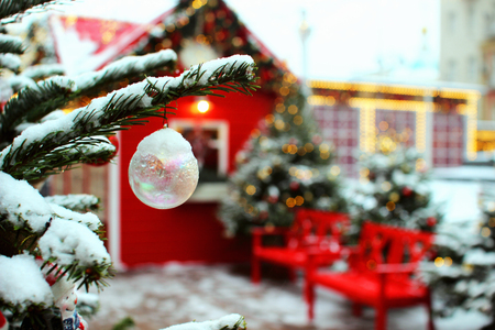 Beautifully decorated Christmas trees and a cute little house decorated in a New Year style.
の写真素材