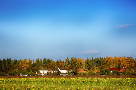 in the barn, autumn field and treesの写真素材