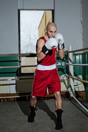 portrait of male boxer standing in the ringの写真素材