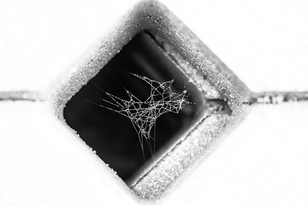 black and white photo of little spider web covered with dew , inside concrete grid paverの写真素材