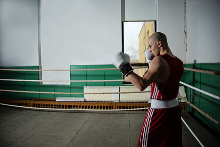 portrait of male boxer standing in the ringの写真素材