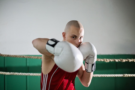 portrait of male boxer standing in the ringの写真素材