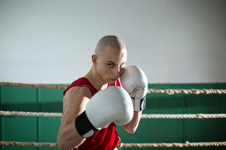 portrait of male boxer standing in the ringの写真素材
