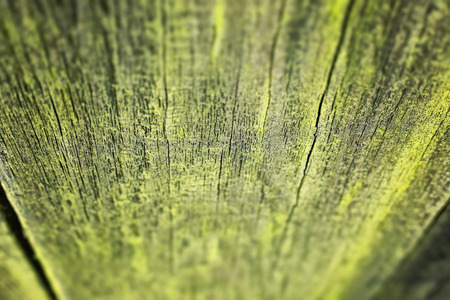 Close-up shot of old wooden fence covered with mossの写真素材