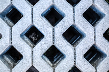 detail of spider web insite concrete gridの写真素材