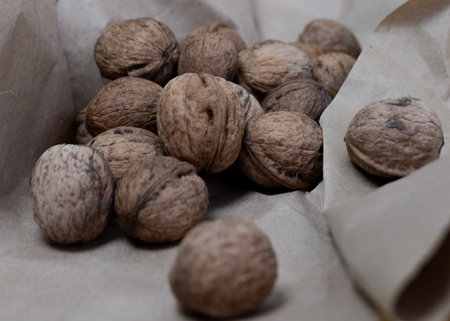 Walnuts in Shell Close-Up Viewの写真素材