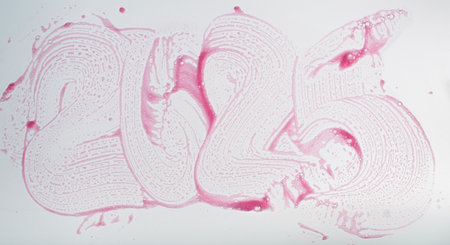 2025 written in pink foam on white