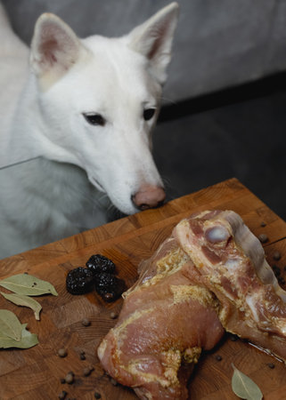 dog observing meat on wooden boardの写真素材