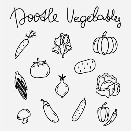 Doodle set of organic vegetables. Collection of hand drawn isolated vegetables elements for recipe cook book, farmer's market, fair or harvest festivalのイラスト素材
