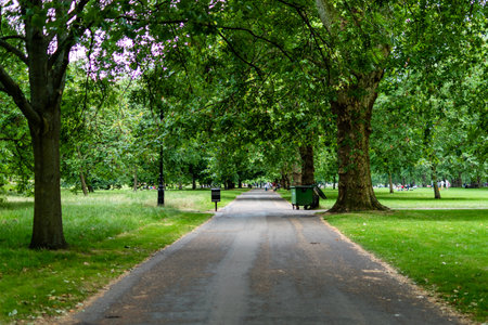 Flower fieldの写真素材