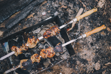 Close-up barbecue pork shashlik on the grill in natureの写真素材