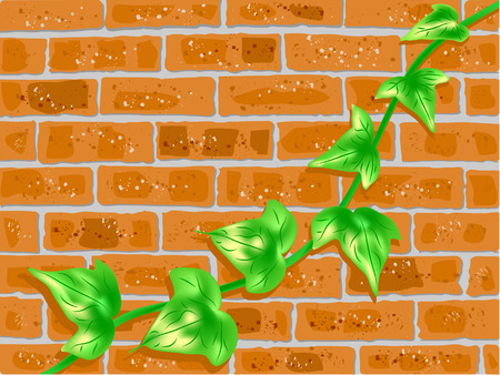 brick wall and green vineのイラスト素材