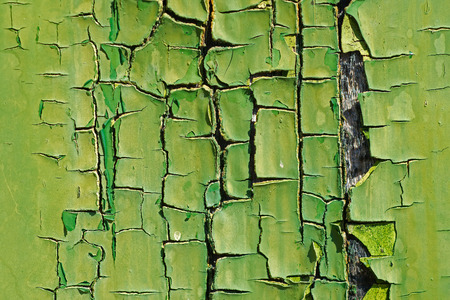 Old Green Cracked Paint on Wood Close Up. Abstract Texture Background.の写真素材