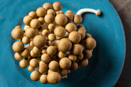 Brown Shimeji Mushrooms as Fungi Food Backgroundの写真素材