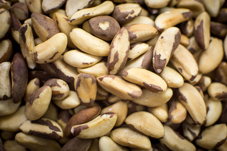 Pile of Brazilian Nuts Close Up Background. Healthy Eating.の写真素材