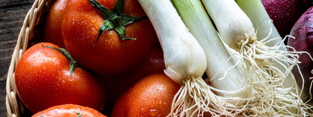 Fresh Organic Vegetables in Water Drops Close Up