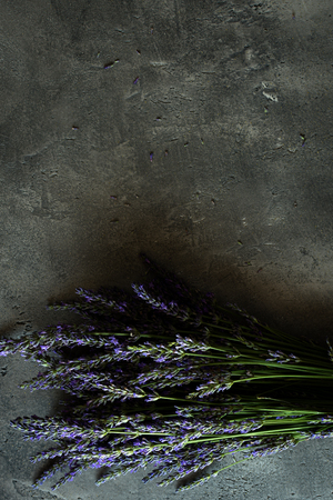 Lavender Vintage Flowers Bouquet on Rustic Dark Backgroundの写真素材