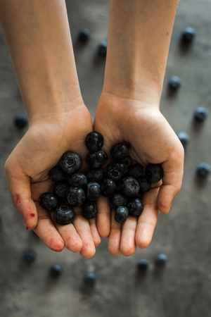 Female Hands Holding Blueberries on Rustic Dark Background.の写真素材