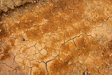 Cracked Dry Clay Ground Soil Background and Texture