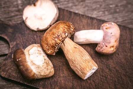 Delicious Types of Edible Brown Wild Mushrooms on Wooden Plank Background. Nature and Healthy Food Concept.の写真素材