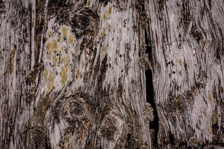 Old Gray Grunge Wooden Roof Texture and Vintage Background Surface