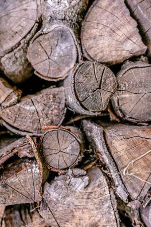 Fire Wood Logs Background. Dry Trunks of Trees for Heating.の写真素材
