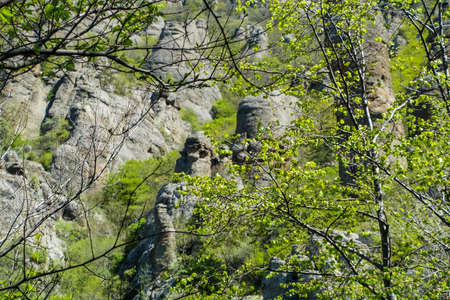 Ancient limestone high mountains of rounded shape in the air haze. The Valley of Ghosts. Demerji. Green trees and bushes in the foreground. May 2021. Crimea.の写真素材