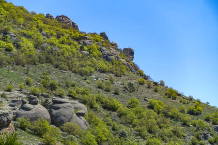 The Valley of Ghosts. Demerji. Green trees and bushes in the foreground. May 2021. Crimea.の写真素材
