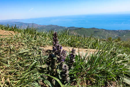 View of the Crimean Mountains plateau and the Black Sea from the top of the Demerdzhi.