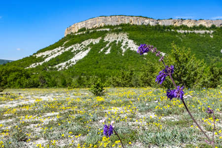 View of the picturesque Crimean mountains near the cave town of TepeKermen. Crimea.の写真素材