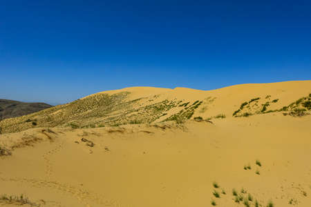 Sand dunes of the Sarykum dune. A natural monument. Dagestan.の写真素材