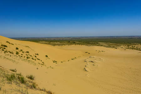 Sand dunes of the Sarykum dune. A natural monument. Dagestan.の写真素材
