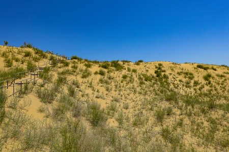 Sand dunes of the Sarykum dune. A natural monument. Dagestan.の写真素材