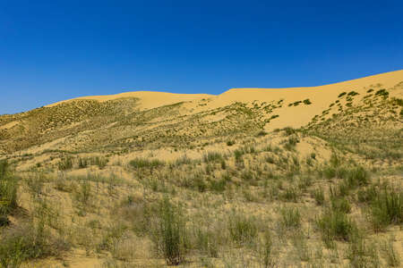 Sand dunes of the Sarykum dune. A natural monument. Dagestan.の写真素材
