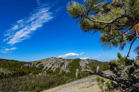 View of the Crimean Mountains plateau from the top of the Demerdzhi mountain range in Crimea.の写真素材