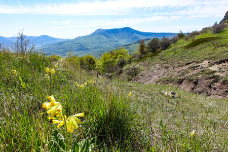 View of the Chatyr-Dag plateau from the top of the Demerdzhi mountain range in Crimea.の写真素材