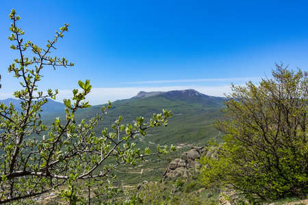 View of the Chatyr-Dag plateau from the top of the Demerdzhi mountain range in Crimea.の写真素材