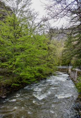 View from the bridge on the river of the resort town of Borjomi in Central Georgia 2019.の写真素材