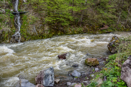 View from the bridge on the river of the resort town of Borjomi in Central Georgia 2019.の写真素材