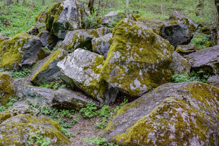 Picturesque stones in the moss in the Resort arch of Borjomi. Georgia 2019. Mineral water. forest in the park.の写真素材